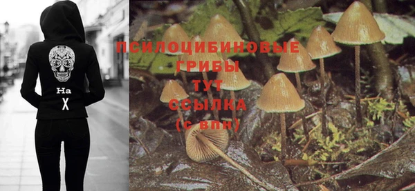 меф Белокуриха