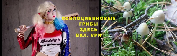 меф Белокуриха