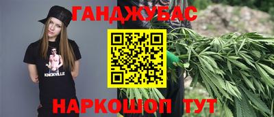 прущие грибы Гатчина