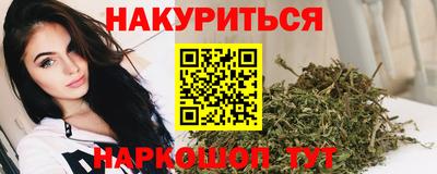 прущие грибы Гатчина