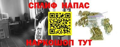 прущие грибы Гатчина