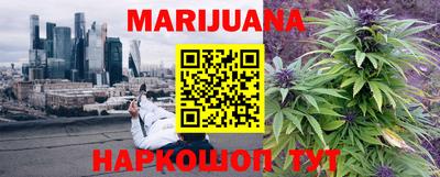 гидропоника Бийск