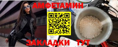 прущие грибы Гатчина