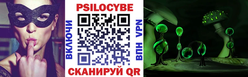 где найти   Гусев  Псилоцибиновые грибы Magic Shrooms 