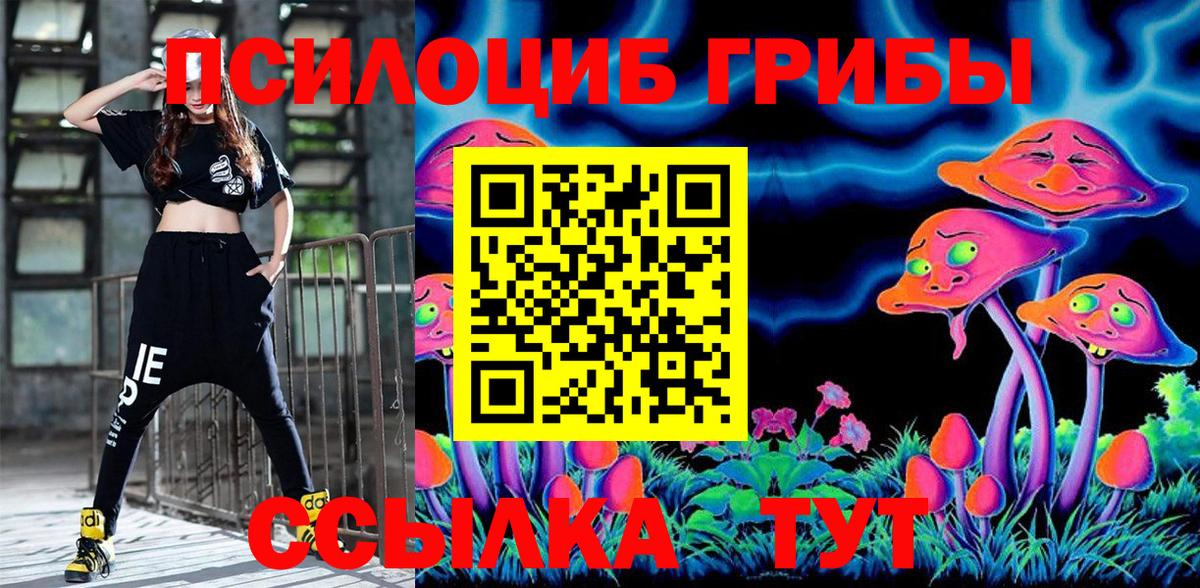 Галлюциногенные грибы Psilocybe Гусев