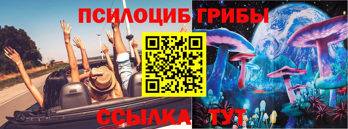 Псилоцибиновые грибы Psilocybine cubensis  Вход с VPN  как найти   Псилоцибиновые грибы Psilocybe  Гусев 