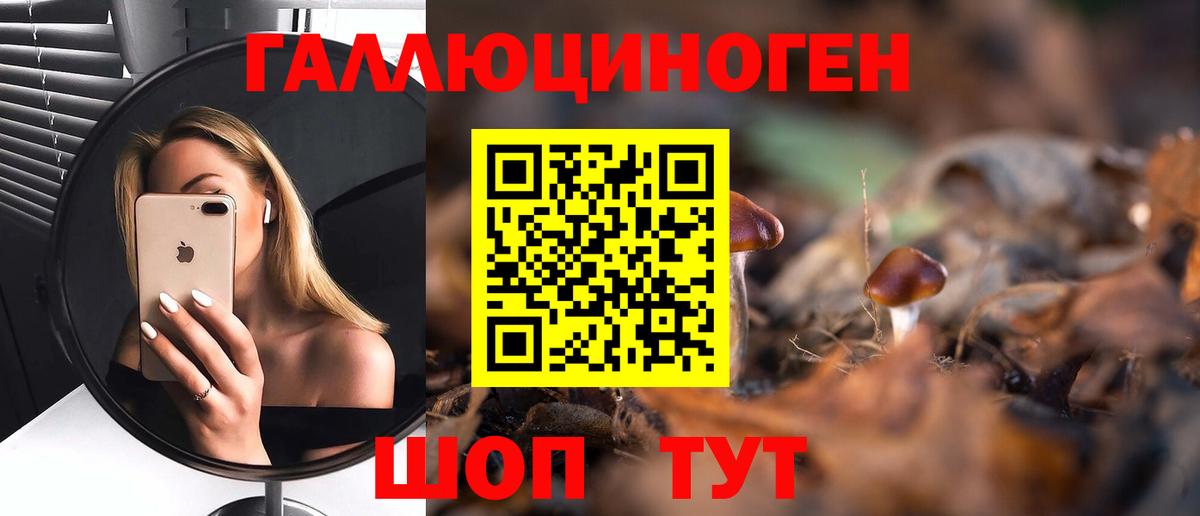 Галлюциногенные грибы мицелий Гусев