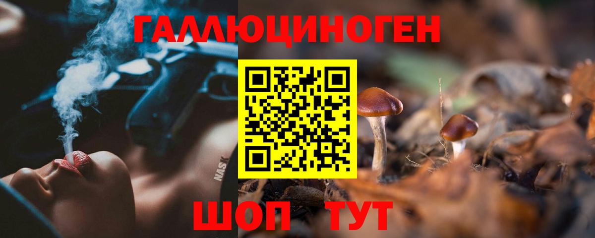 Галлюциногенные грибы прущие грибы  хочу наркоту  Гусев 