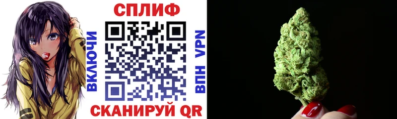 нарко площадка формула  Гусев  Марихуана OG Kush 